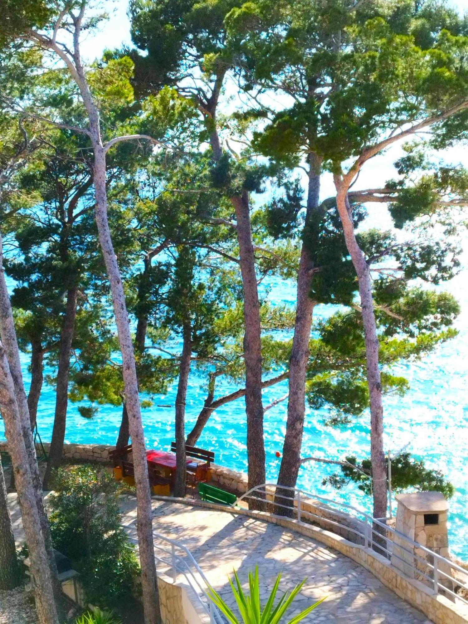 Apartment Jelas Živogošće Buitenkant foto